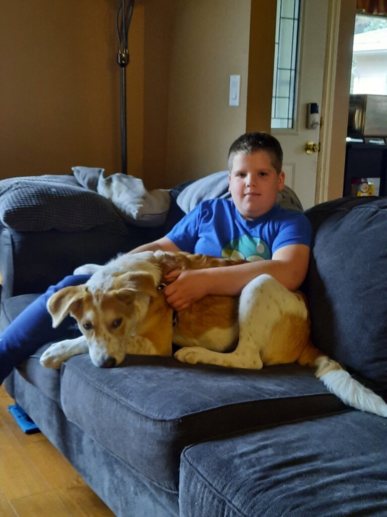 Puppy and Dog Trainers in Calgary